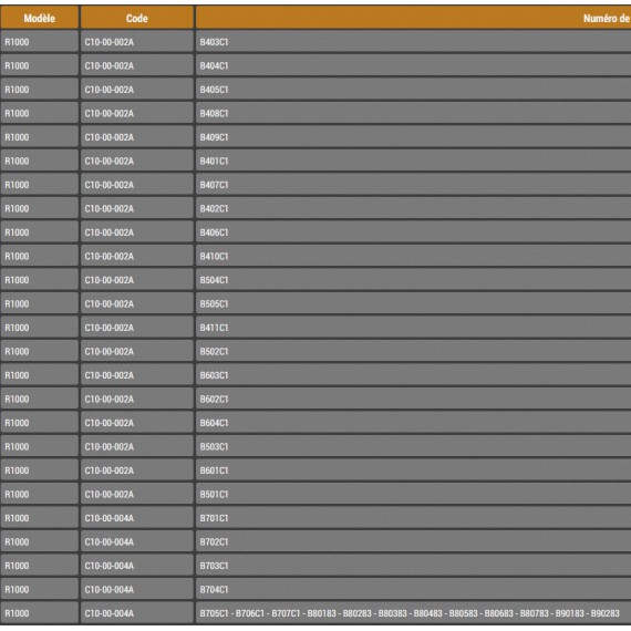 R1000 NUMEROS DE SERIE